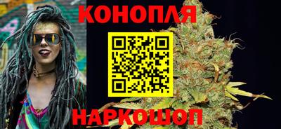 шишки Краснодар
