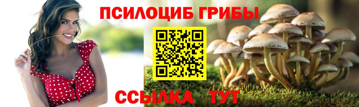 Галлюциногенные грибы MAGIC MUSHROOMS  Галлюциногенные грибы Psilocybe  Вход с VPN  Кингисепп 